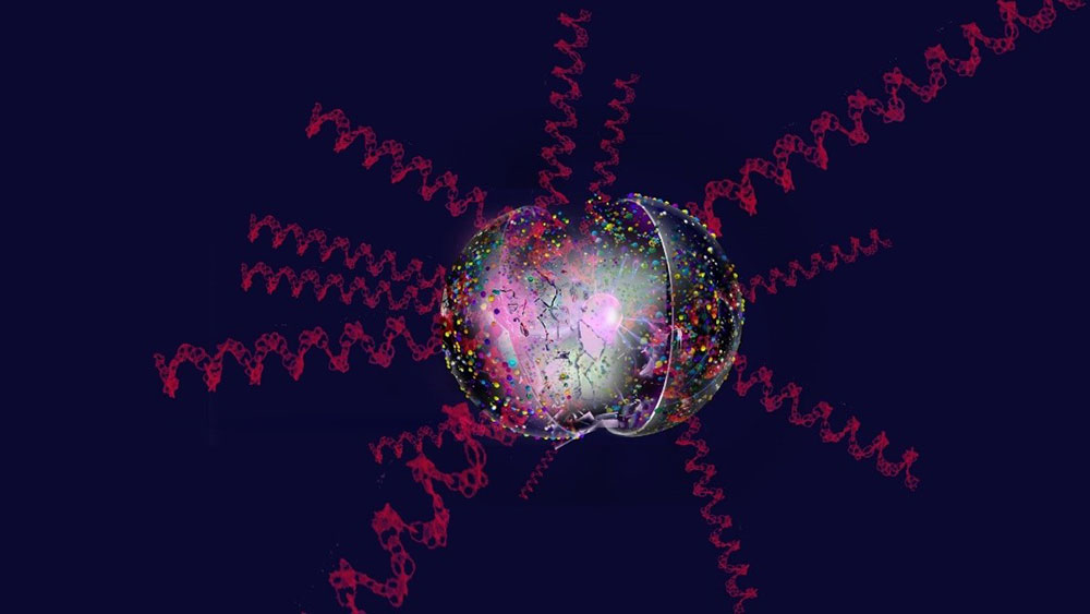 New Discoveries About the Fission of Photon, its Energy Value and the Method of Photon Fission